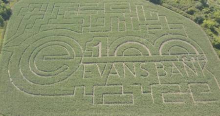 Cambria corn maze