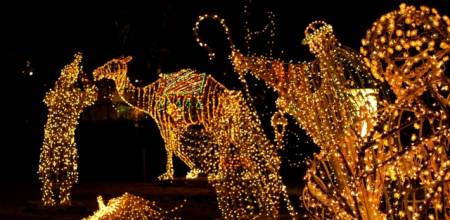 Festival of lights