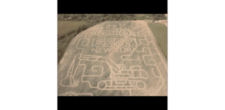 Cambria corn maze