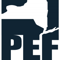 Pef logo