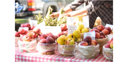 Lewiston artisan market