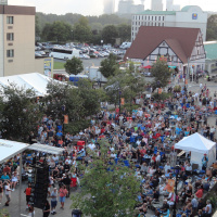 Blues festival photo