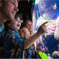 indoor activity niagara falls